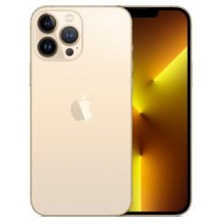 iPhone 13 Pro Max Repair